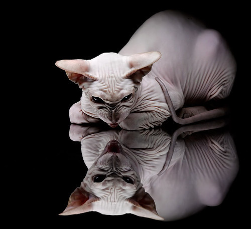 掘金关键战绝杀湖人，杜兰特在NBA舞台上演英超式接管艺术