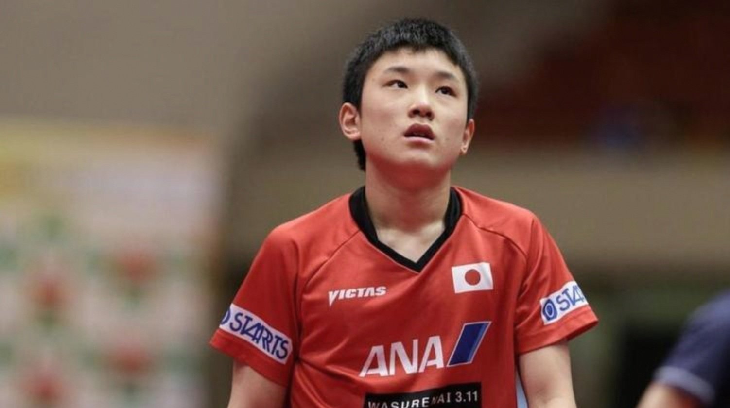 开云体育APP下载-波兰队完胜法国队，张本智和点燃赛场